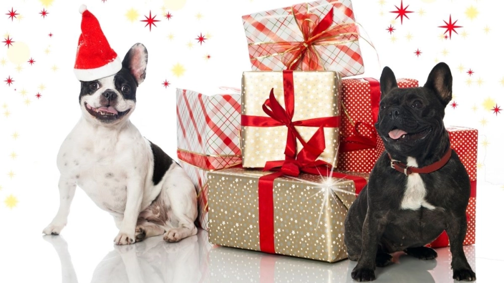 Deco noel a faire soi meme là những ý tưởng tự làm tuyệt vời để trang trí cho mùa lễ này.