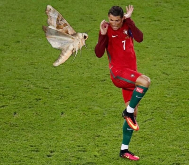 Ronaldo uống nước meme là một cảnh tượng thú vị của CR7 khi đang thi đấu.