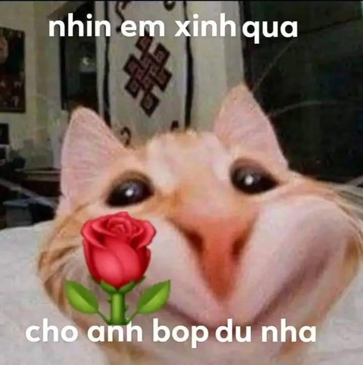 Meme chó tặng hoa này sẽ khiến bạn phải cười vì sự ngọt ngào và dễ thương.