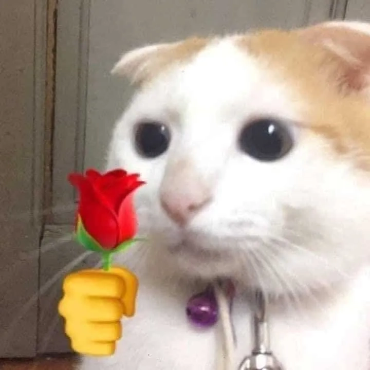 Meme tặng hoa 8/3 này rất dễ thương và thể hiện tình cảm chân thành.