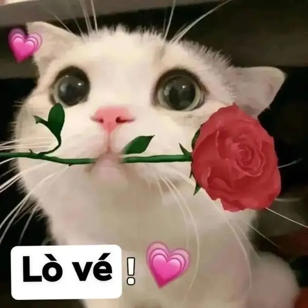 Meme tặng trái tim là biểu tượng của tình yêu và sự quan tâm dành cho người thân yêu.