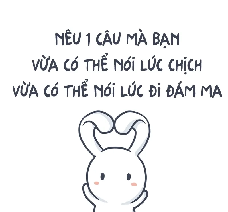 Pink rabbit meme thỏ hồng ngộ nghĩnh, làm sáng bừng mọi ngày.