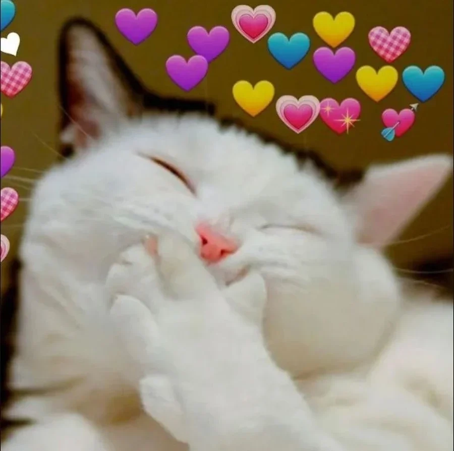 Meme ngồi im tình yêu sẽ đến hài hước, khiến bạn cười sảng khoái.