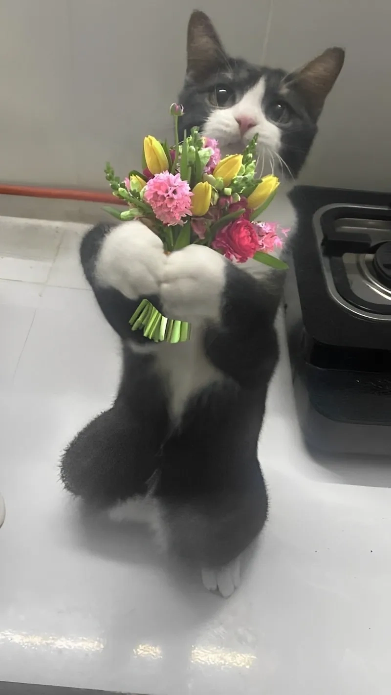 8 3 tặng mẹ quà gì là câu hỏi thú vị cho ngày Quốc tế Phụ nữ, để thể hiện tình yêu thương.