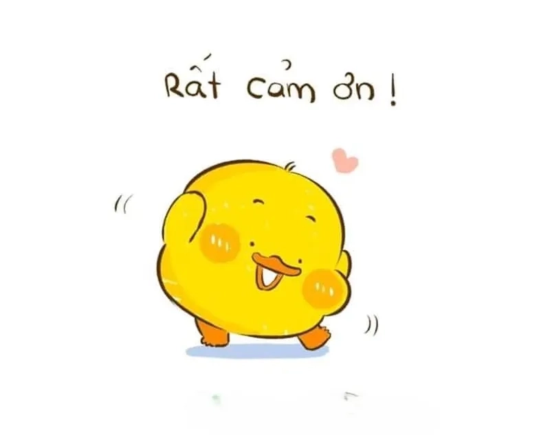 Ảnh thank you meme là cách thể hiện lời cảm ơn hài hước và thú vị.