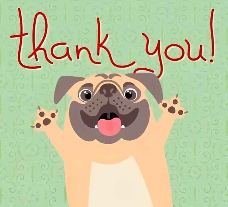 Thank you come again meme là lời cảm ơn vui nhộn với hy vọng gặp lại người đó.