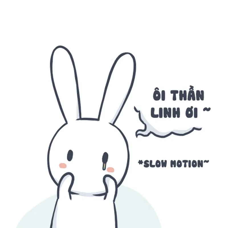 Ảnh con thỏ meme hài hước và đáng yêu trong mọi hoàn cảnh.