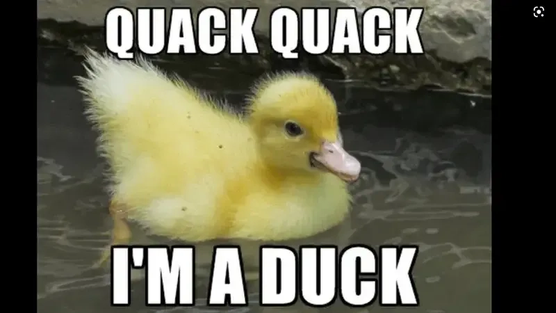 Hình con vịt meme là biểu tượng cho những khoảnh khắc hài hước và dễ thương.