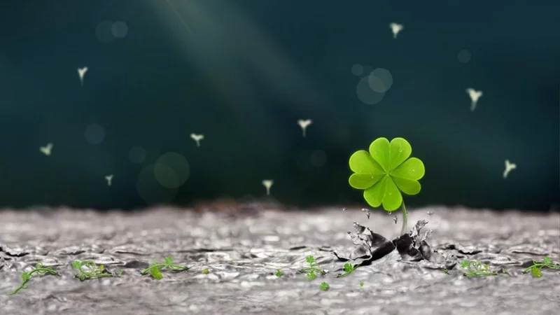 Ảnh đại diện Zalo đẹp, phong cách nhẹ nhàng, cuốn hút