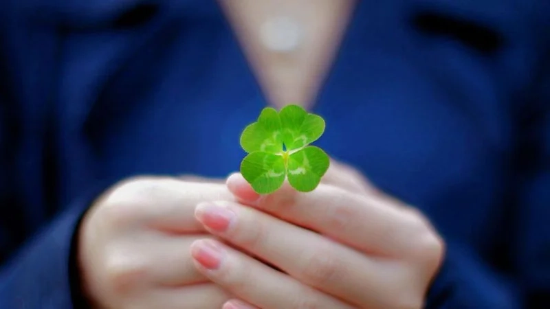 Avatar Zalo đẹp nhất, tỏa sáng trên mọi nền tảng