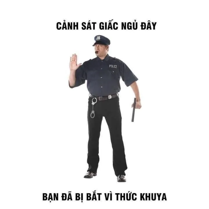 Chúc ngủ ngon với ảnh meme chúc ngủ ngon cực hài hước và dễ thương