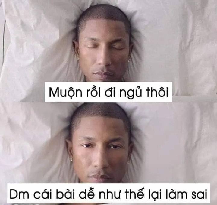 Đi ngủ thôi nào với meme ngủ ngon cute đáng yêu hết nấc