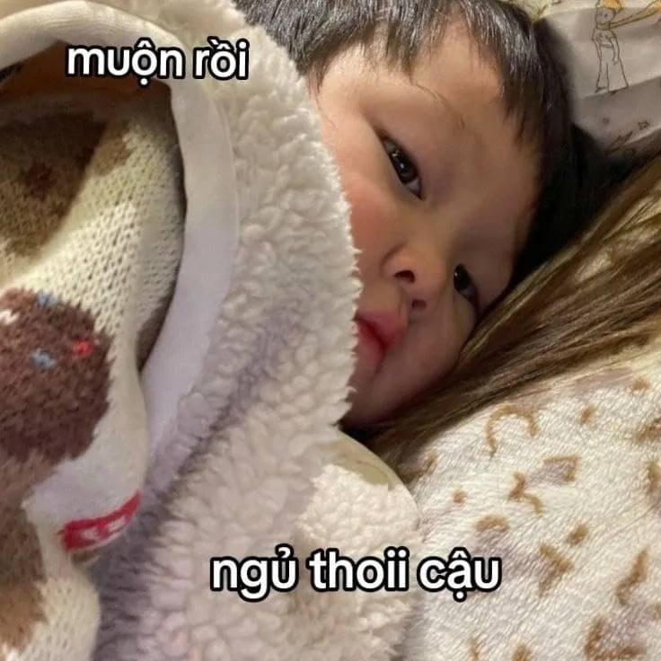 Đêm nay bạn sẽ mơ đẹp với meme chúc ngủ ngon cute dễ thương