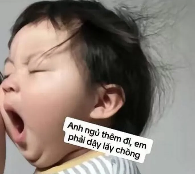 Mèo chúc bạn ngủ ngon với meme mèo chúc ngủ ngon dễ thương nhất