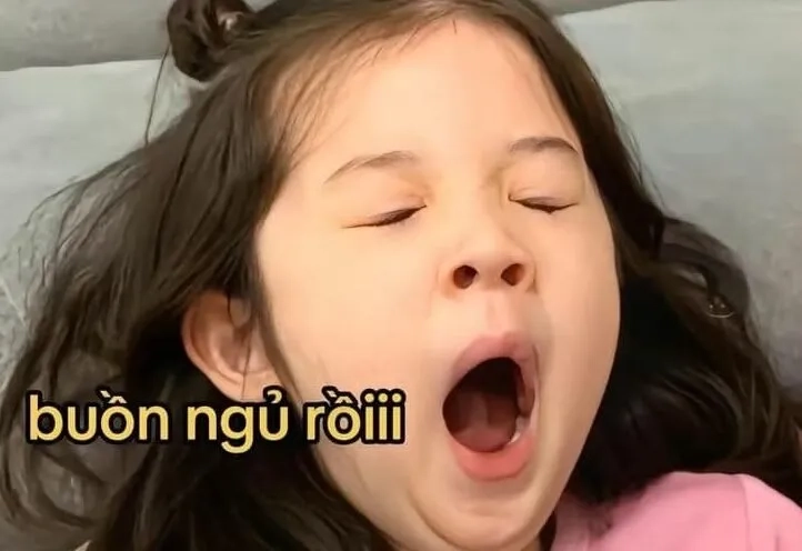 Cười ngả nghiêng với meme ngủ ngon hài trước khi đi ngủ
