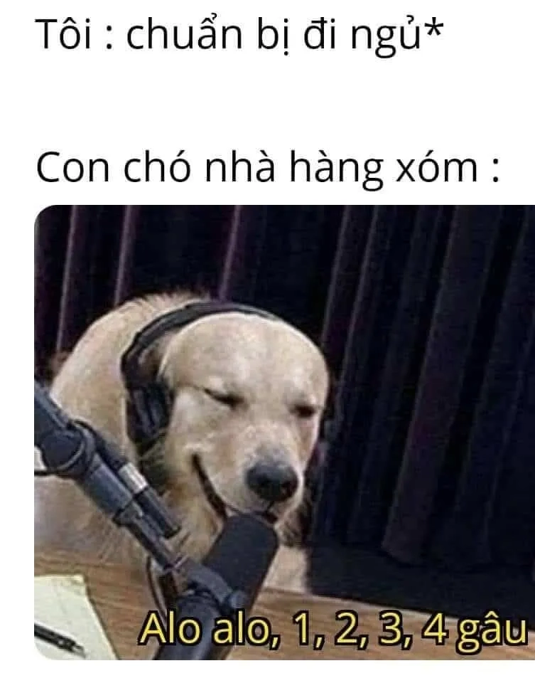 Đêm dài lắm mộng với meme mất ngủ siêu lầy và hài hước