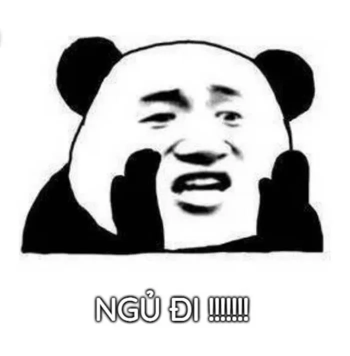 Nhìn boss là biết meme mèo đi ngủ dễ thương hết nấc