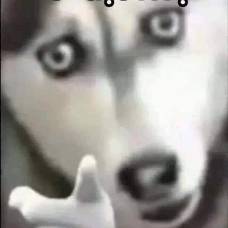 Ảnh meme meme hài sẽ làm bạn thích thú mỗi lần nhìn