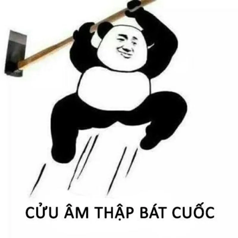 Ảnh hài hước meme dễ dàng làm tan biến mọi căng thẳng