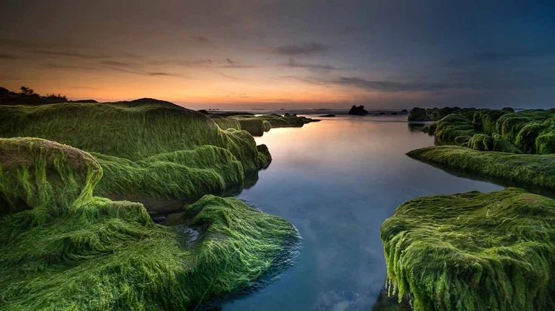 Tận hưởng không gian tuyệt đẹp với hinh nen 4k dep siêu nét