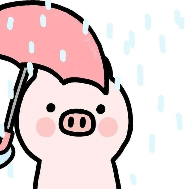 Avatar vô tri hài hước đôi, cho những cặp đôi yêu thích vui vẻ