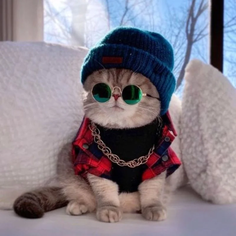 Avatar anime mèo dễ thương, dành cho fan yêu thích