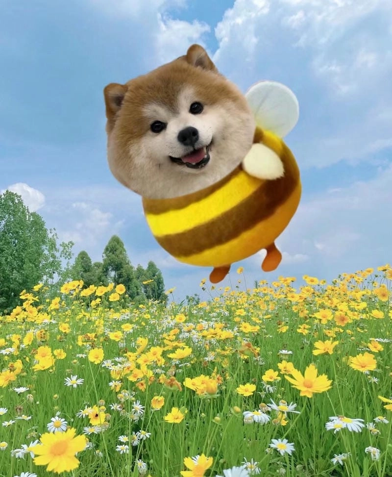 Hài hước avatar bựa, khiến mọi người phải bật cười