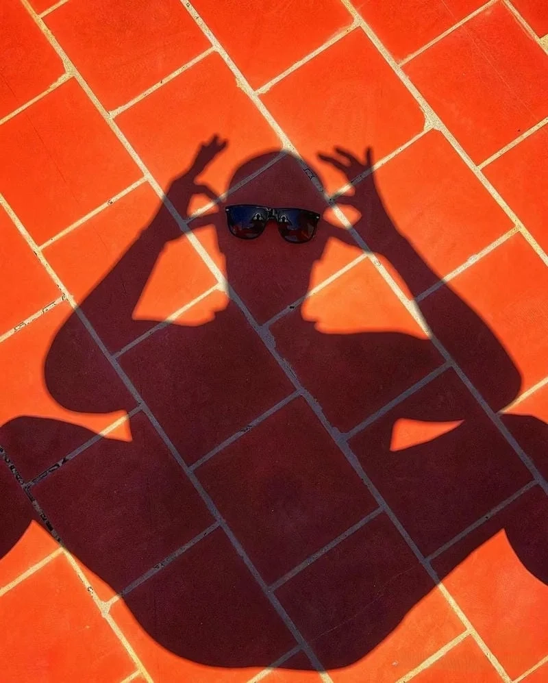 Hình avatar hài hước, mang lại tiếng cười sảng khoái