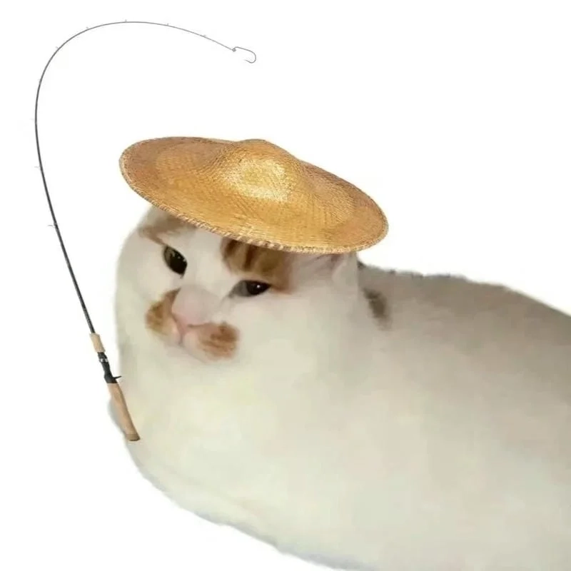 Avatar hài ngầu, cho bạn phong cách vừa cool vừa hài