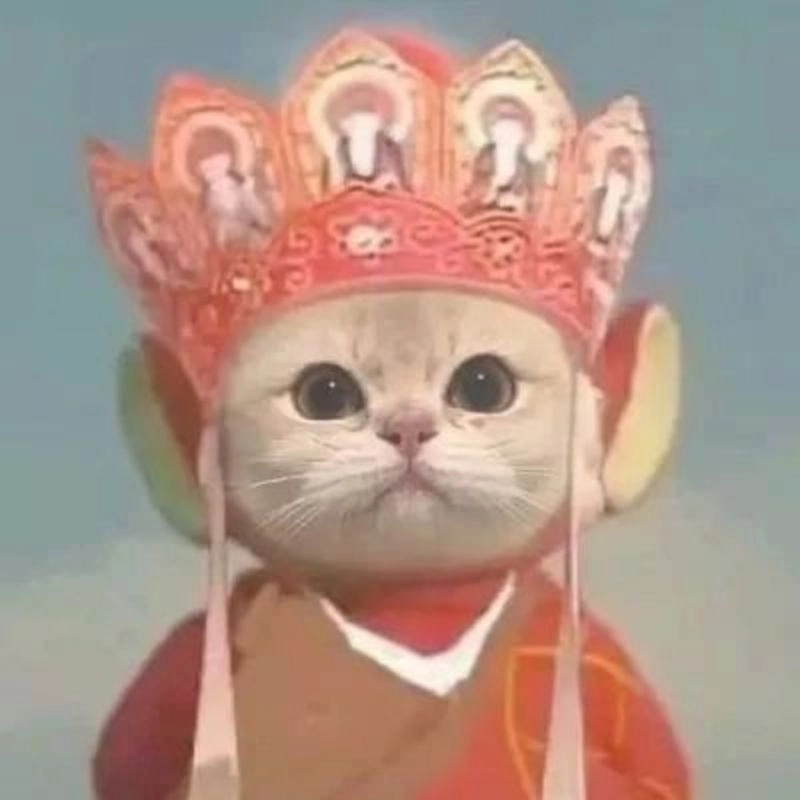 Avatar đôi mèo vô tri, đáng yêu và ngộ nghĩnh