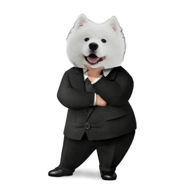 Con chó hài mang đến những phút giây thư giãn tuyệt vời