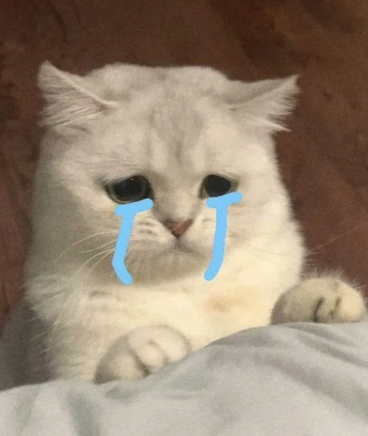 Hình ảnh đáng yêu nhưng buồn bã của crying banana cat meme