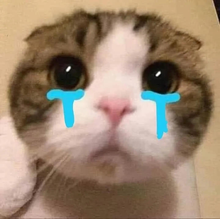 Khi bạn không biết nên cười hay khóc như crying meme emoji