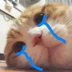 Ai đó đã làm tổn thương frog crying meme sao