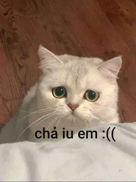 Pepe đang khóc như crying pepe meme vì điều gì vậy