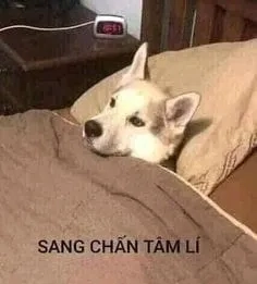 Khi Chad không hiểu cô gái trong crying girl and chad meme
