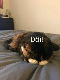 Nhìn aya asagiri crying meme mà ai cũng đau lòng