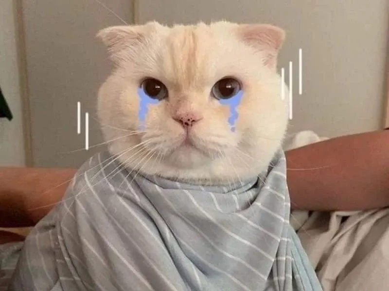 Ai đó khen bạn đẹp mà bạn nghi ngờ như smile cry meme
