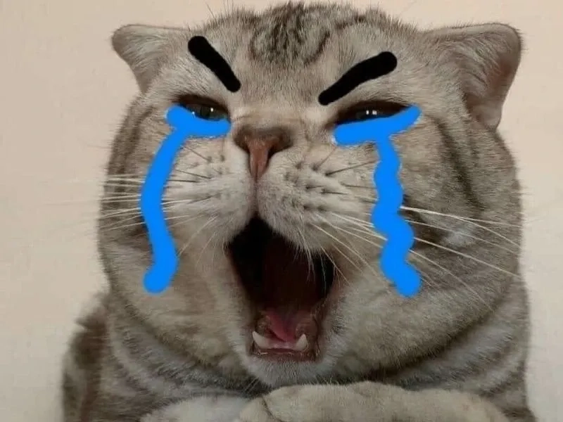 Cười ra nước mắt khi nhớ lại chuyện xưa như cry laugh meme