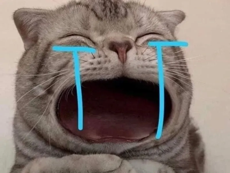 Bực mà không làm gì được như angry crying meme