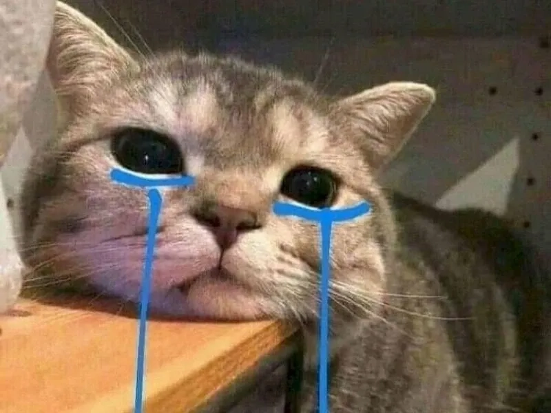Cảm giác khi mất kèo cá độ như man crying meme