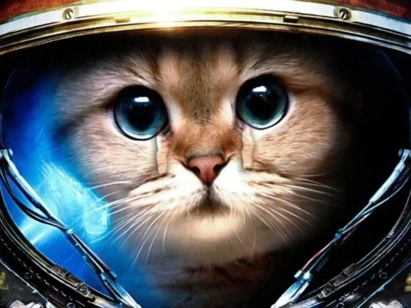 Khi bạn cố tỏ ra mạnh mẽ nhưng như crying girl meme