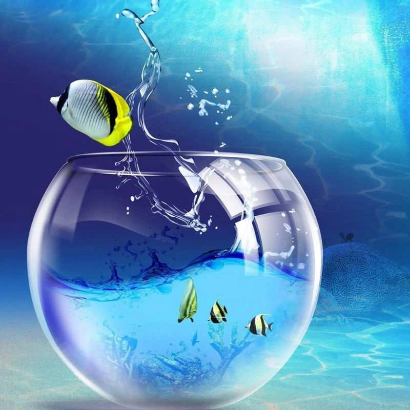 Ảnh đại diện đẹp ngầu, thể hiện đẳng cấp khác biệt