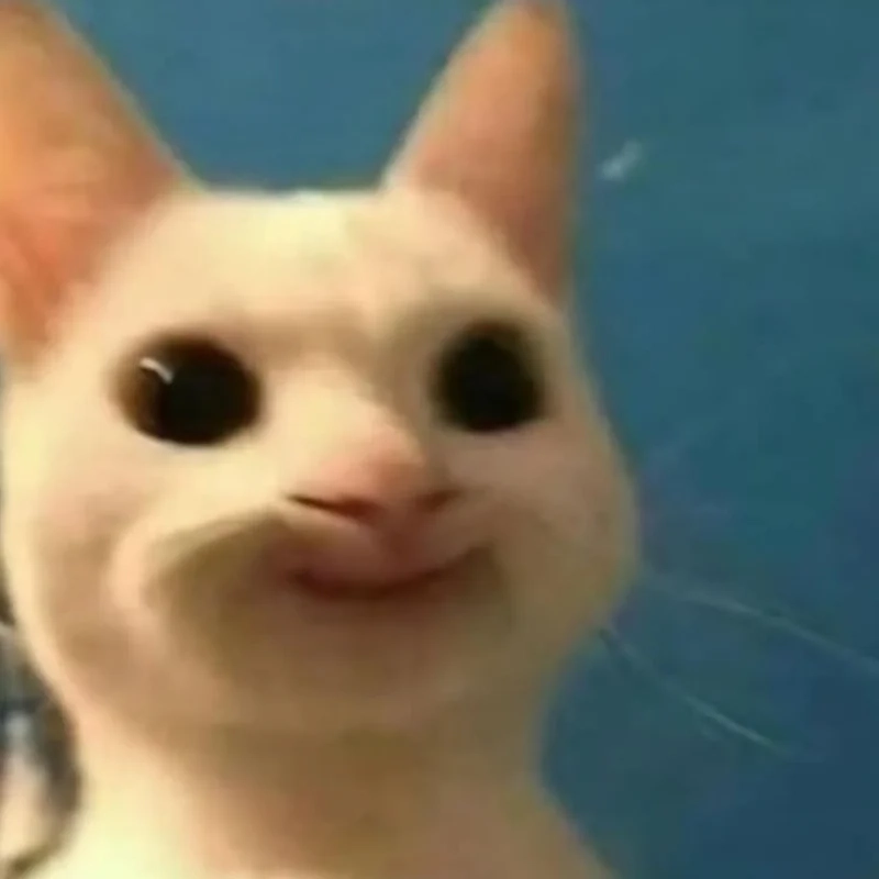 Mèo hài meme dễ thương, khiến bạn không thể không cười