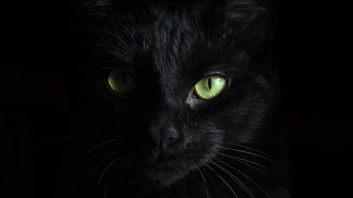 Hình nền đen đẹp 4K mang phong cách độc đáo