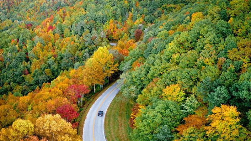 Hình nền máy tính phong cảnh đẹp mang đến cảm giác thư thái