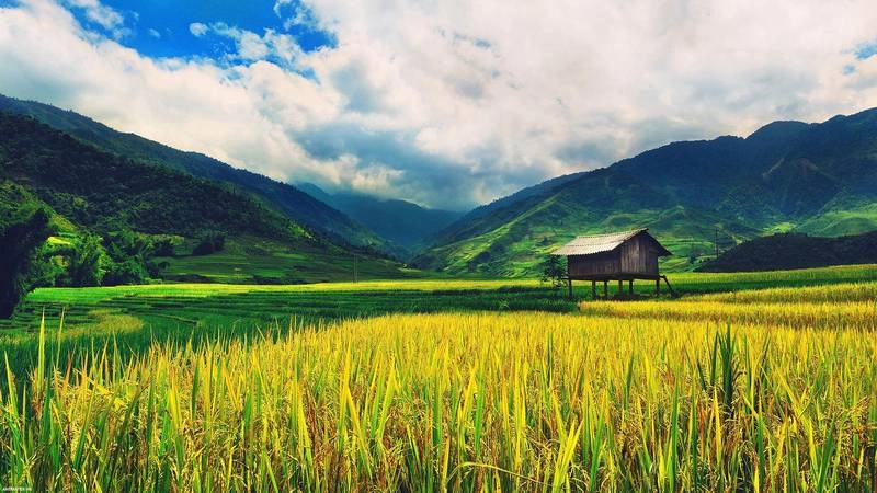 Hình nền laptop phong cảnh đẹp giúp thư giãn và sáng tạo