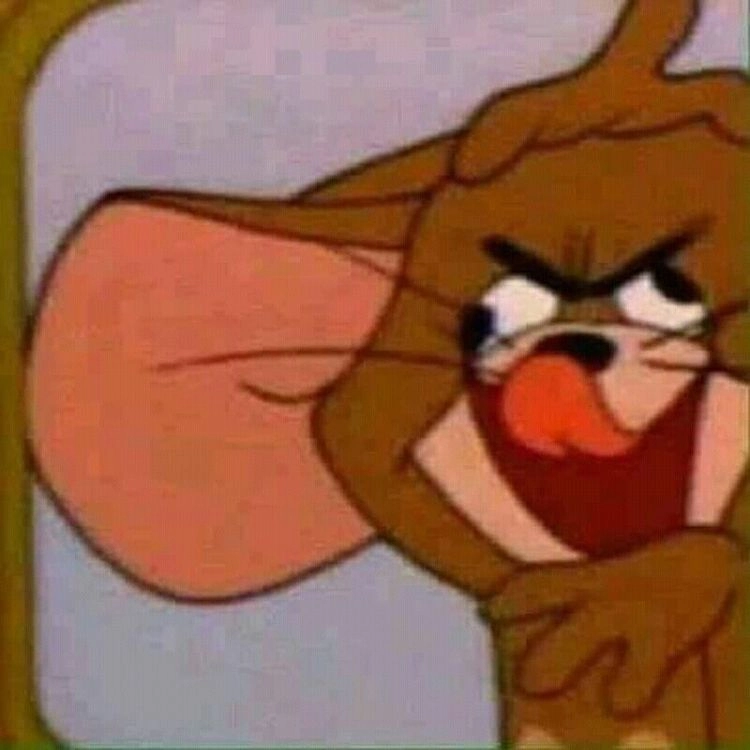 Hình Jerry meme hài hước khiến ai cũng bật cười