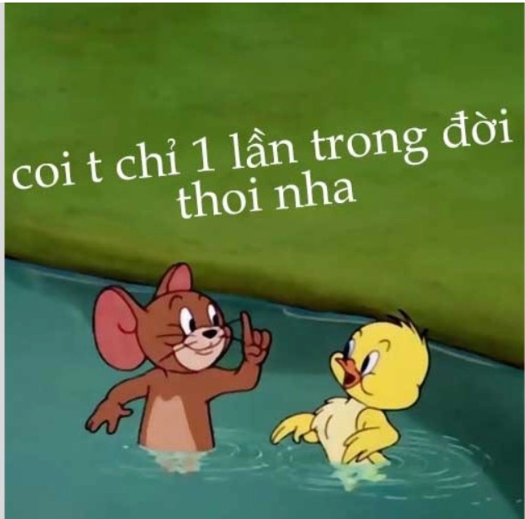 Hình chuột Jerry meme siêu đáng yêu và ngộ nghĩnh
