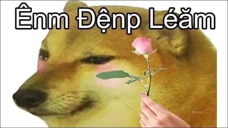 Cùng xem những hình ảnh meme cheems tuyệt vời mà bạn không thể bỏ qua